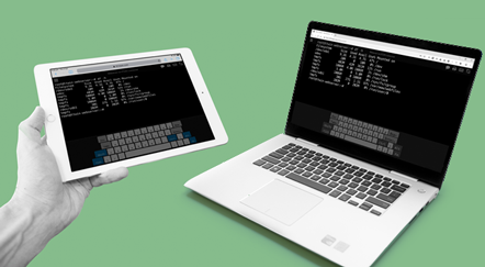How Can You Utilize The Terminal Emulator Online Services?